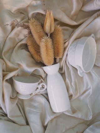 Vedeli ste, že bodliaky kedysi ľudia vešali nad dvere, aby odohnali zlé sily? 🌿 Mne sa na nich páči, že aj keď pôsobia...