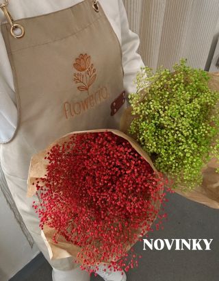 Vo Flowerio eshope pribudli krásne novinky… Stabilizované gypsomilky, nevestin závoj, baby’s breath alebo gypsophyla 😉 -...