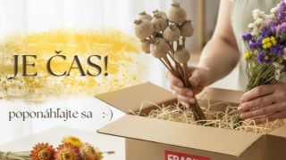 Nezmeškajte to! Posledný deň na odoslanie objednávok je 19.12.2025. Len do 19.12.2025 máte -20% so zľavovým kódom...